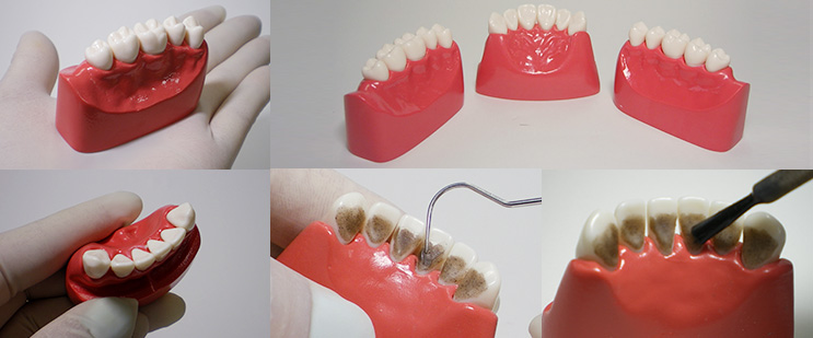 HSCT-Block High Speed Cutting Training Block