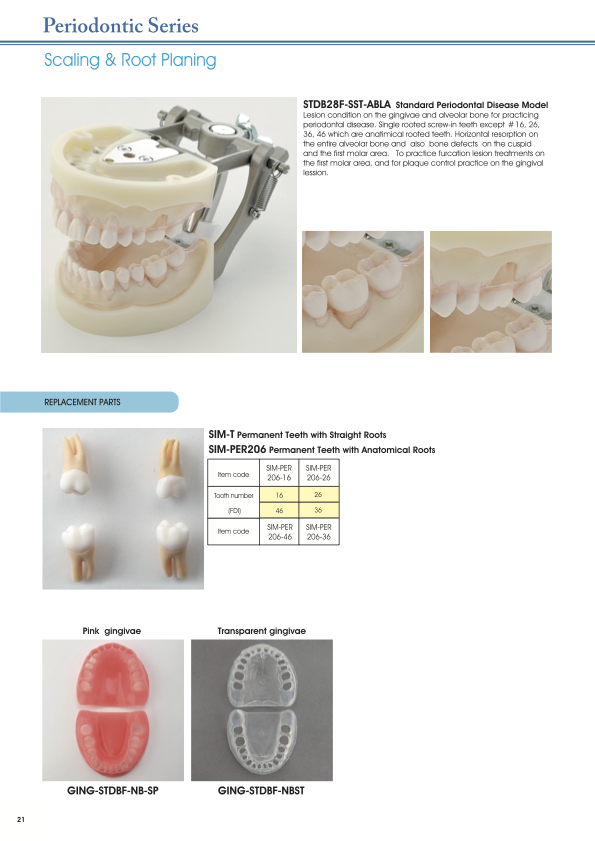 https://www.trimunt.co.jp/wp-content/uploads/2025/06/croppedPDF-2_ページ_22.png